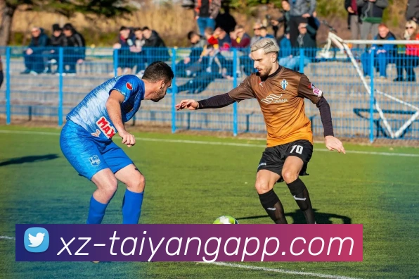 太阳城APP 封面图